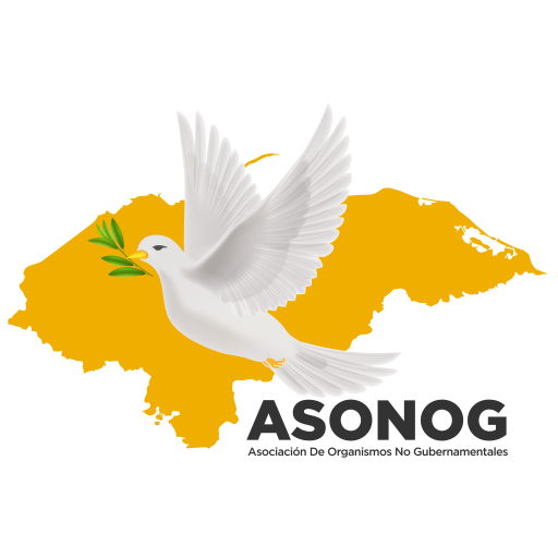 ASONOG HONDURAS | Asociación de Organizaciones No Gubernamentales de Honduras